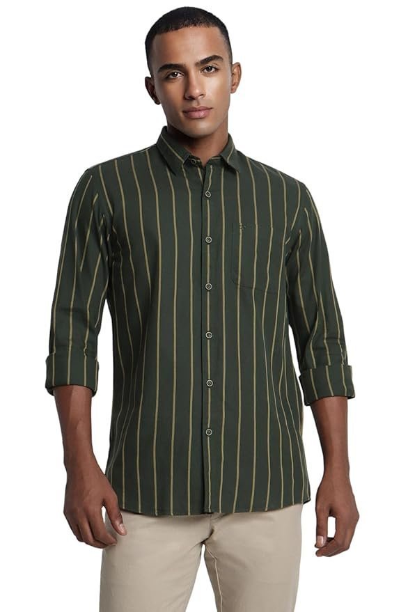 Peter England Men Cotton Striped Slim Fit Shirt